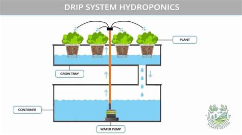Drip System Hydroponics Pros And Cons And How To Avoid Them Plants