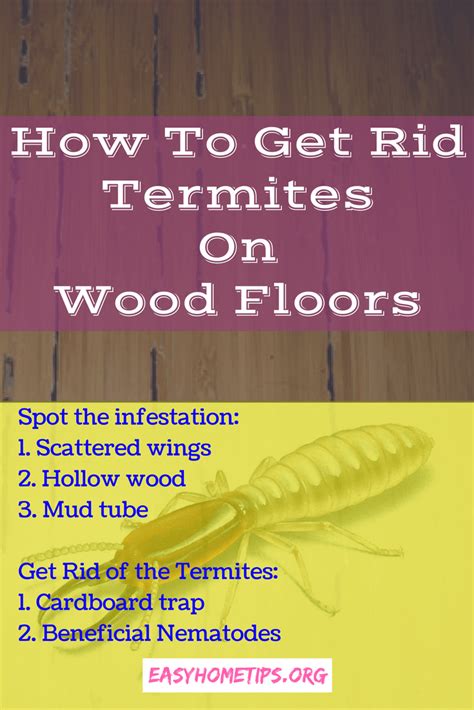 How To Get Rid Termites On Wood Floors