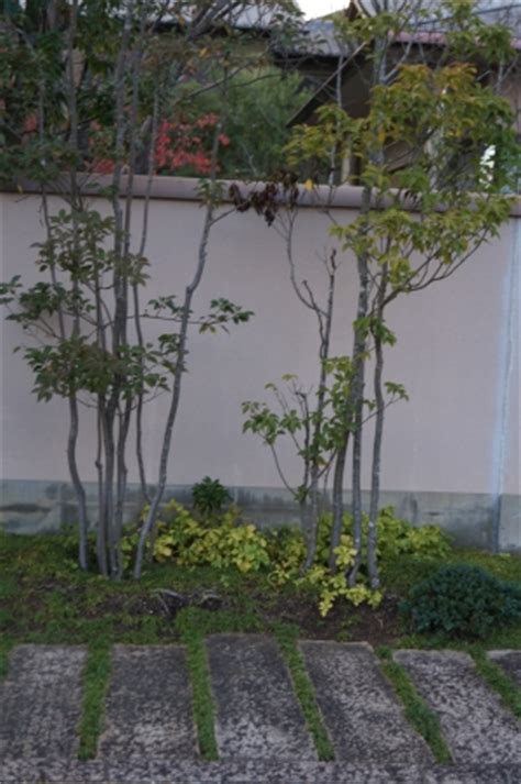 狭い玄関アプローチを引き立てる雑木の庭空間!｜奈良県奈良市｜エクステリア・外構｜ハシグチガーデン