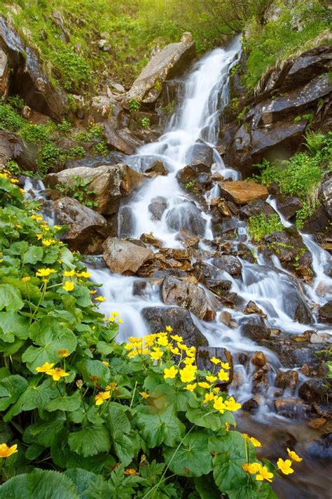 Rocky Waterfall In Spring Forest Stock Image Image Of Environment
