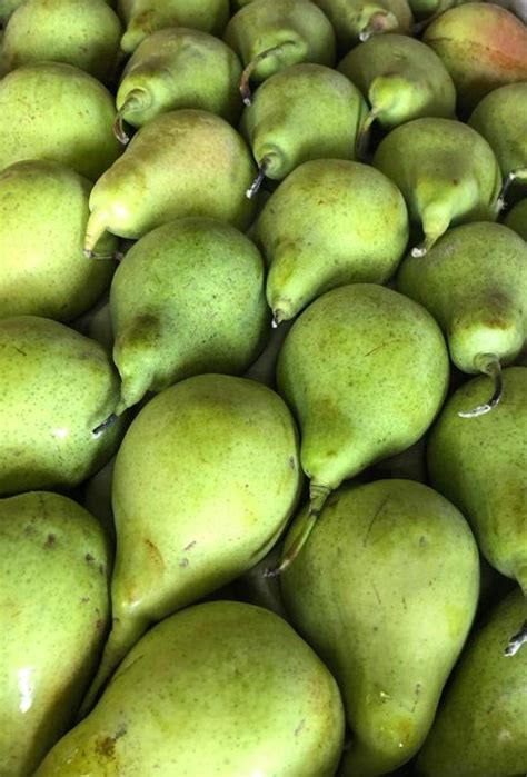 A Grade Pears Pear Packaging Size 10 Kg At Rs 1500box In Delhi Id 21491762097
