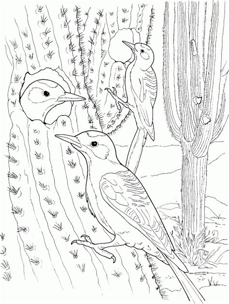 Https://wstravely.com/coloring Page/adult Plant Coloring Pages