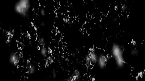 Particle Alpha Element Overlay Loop Stock Motion Graphics Sbv 311847066