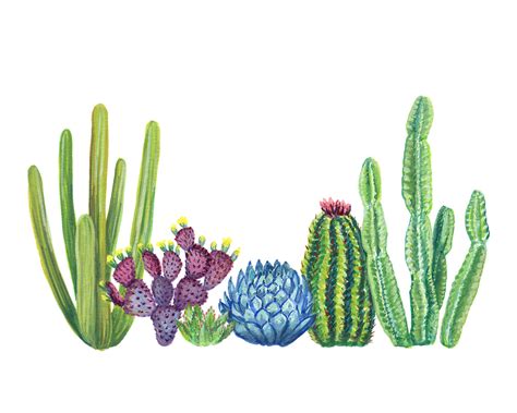 Cactus Garden Art Print Heartshake Studios