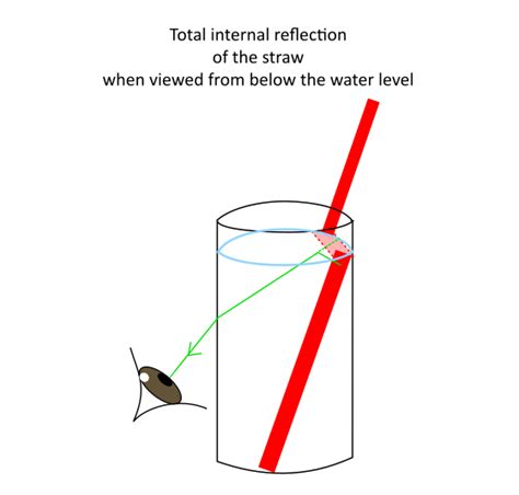 As the reflected light from an object like a tree travels from denser medium(cool air) to rarer medium(hot air), the light ray bends away from the normal some example of refraction of light are: Refraction Optical Illusions