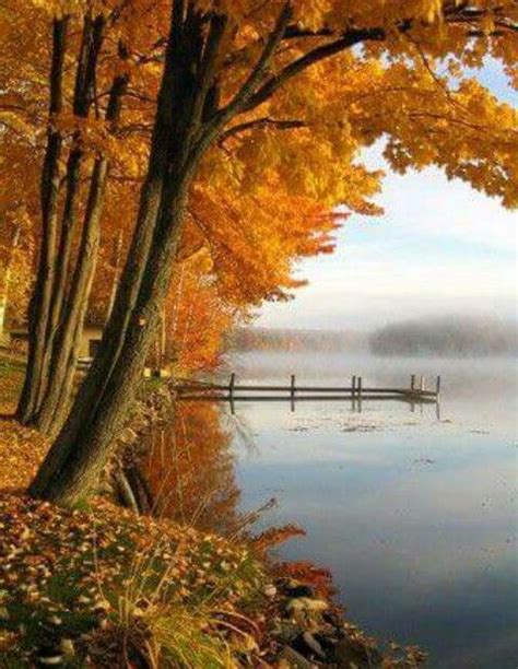 Pin By Lawrence Lastra On ♡ Fall Foliage ♡ Landscape Photography