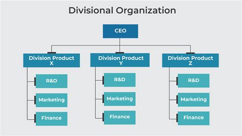 Gambar Struktur Organisasi Fungsional Dan Divisional Organizational