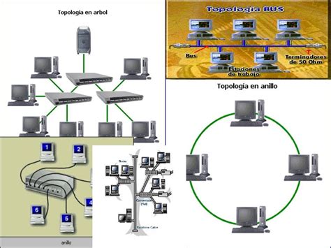 Topologia Fisica Y Logica Sifusobes