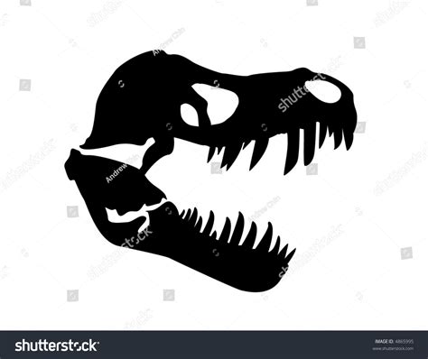 4203 Dinosaur Head Silhouette Images Stock Photos And Vectors