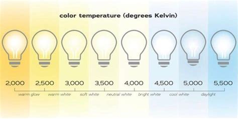 Top Ten Infographics Guides March In Colored Light Bulbs Light Bulb