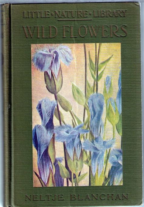 Wild Flowers Worth Knowing Neltje Blanchan 1926 Book Cover Art