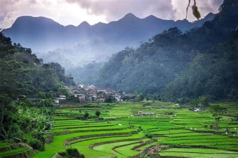 Foto Desa Wisata Tempur Di Jepara Daya Tarik Rute Dan Keindahan