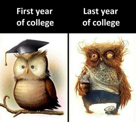 If you make voluntary payments you may be able to get an early payment discount. First Year of College Last Year of College | College Meme ...