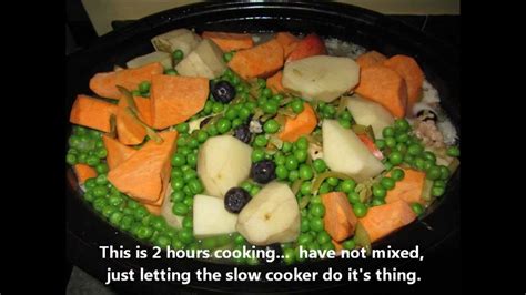 Check spelling or type a new query. Slow Cooker Homemade Dog Food - Chicken, Ground Turkey ...