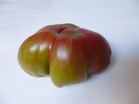 Tomato Varieties