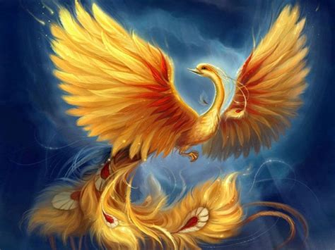 The qilin is a mythical creature just like the dragon and phoenix. 46+ Phoenix Wallpapers on WallpaperSafari