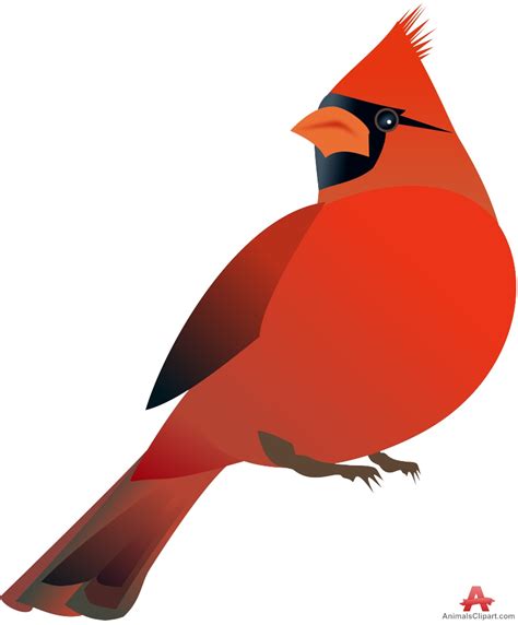 Red Cardinal Clipart 20 Free Cliparts Download Images On Clipground 2024