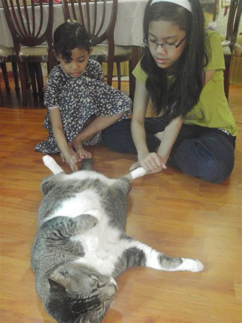Seribu Bintang Nor Amalin Aisyah Tuah Seekor Kucing Yang Pandai Memikir