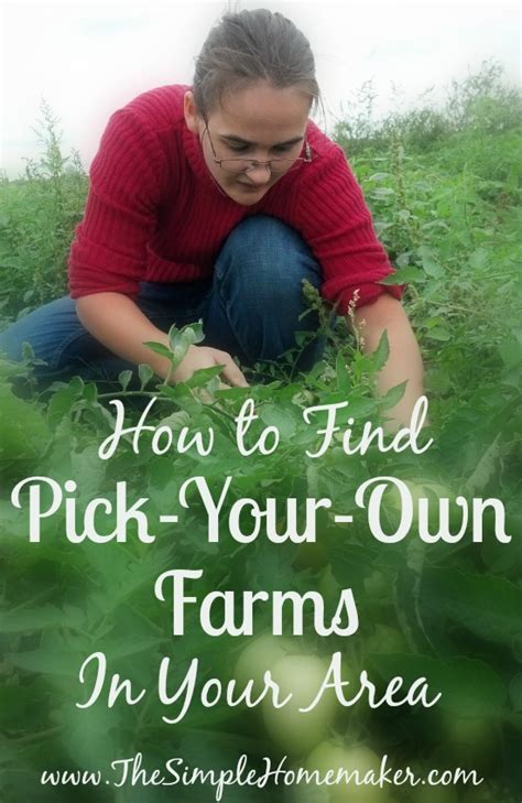 How to Find Pick-Your-Own Farms in Your Area - The Simple Homemaker