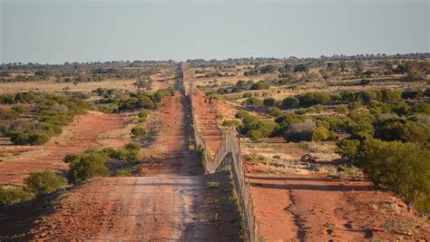 Ep 28 The Dingo Fence Australian History