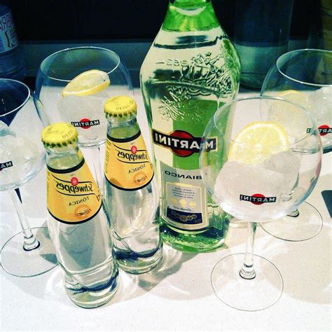 Martini Bianco mit Schweppes in Min der beste Cocktail für den Sommer