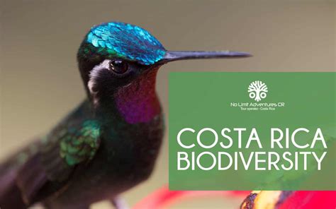 Costa Rica Biodiversity No Limit Adventures Costa Rica