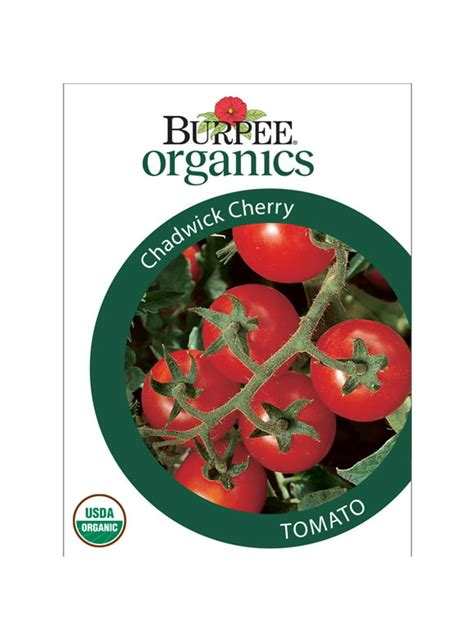 Tomato Seeds In Seed Gardening