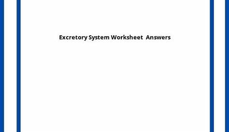 Excretory System Worksheet PDF Answers 】 2023
