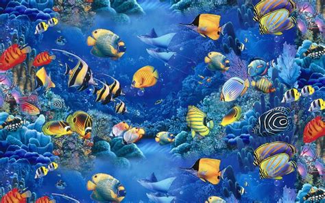 Aquarium Wallpapers 35 Wallpapers Adorable Wallpapers