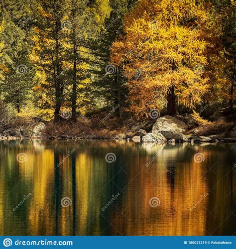 Lake With Autumn Reflections Stock Image Image Of Beautiful Natural