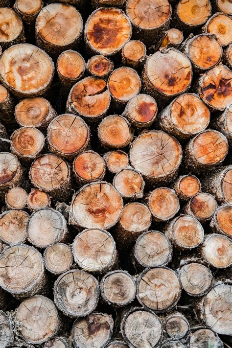Wood Grain 58 Best Free Grain Wood Log And Texture Photos On Unsplash