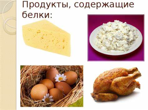 Диета с продуктами содержащие клетчатку