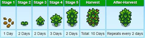 The coffee bean is a crop and a plantable seed. Top 10 Stardew Valley: Best Crops (2020 Edition ...