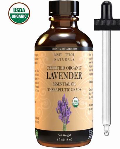 Oil Lavender Essential Organic Oils Aromatherapy Pure