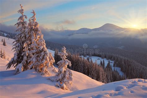 Colorful Winter Sunrise Stock Image Image Of Frozen 35651363