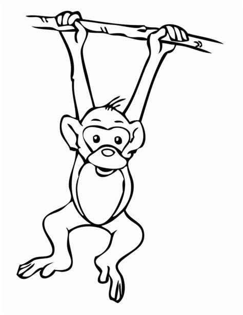 Best Monkey Outline 16606