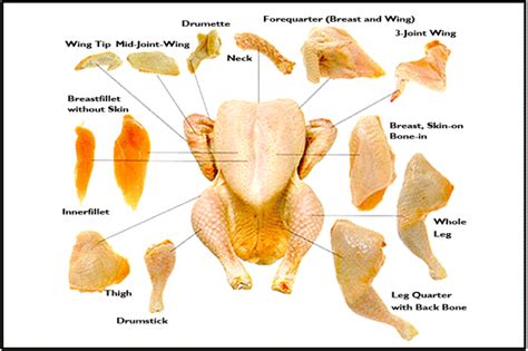 Here are 7 steps for cutting a whole chicken into 8 pieces: Chicken cuts | bbq charts: POULTRY CUTS | Pinterest | Poultry, Meat and Chicken