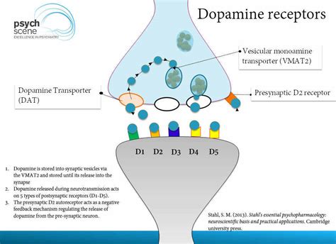 Dopamine Receptor 作用 Sword