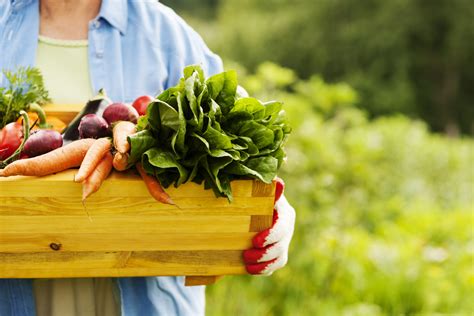 15 Genius Vegetable Gardening Tips For Beginners Nikkis Plate