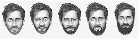 Beard Growth Stages