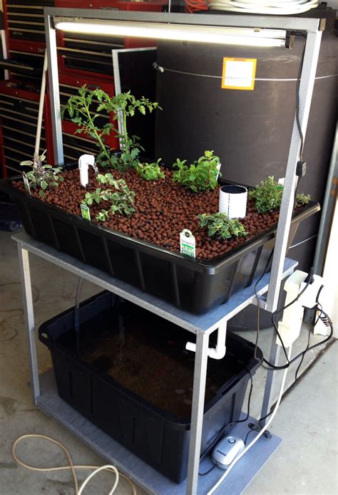 Although this may sound very complicated, it is actually quite easy to put together on your Member Project: Brett's DIY aquaponics system - Vocademy ...
