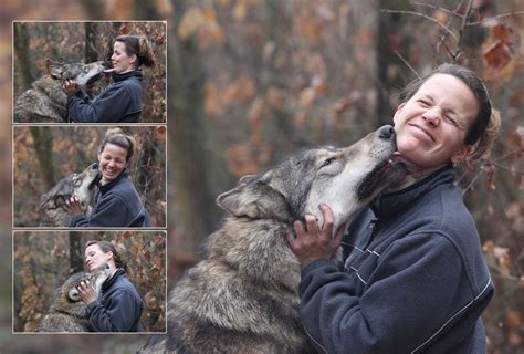 How Relationship Works Between Humans And Wolves