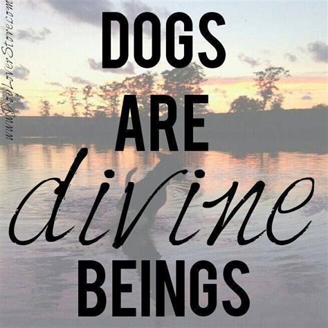 Rescuedog Dog Itsarescuedoglife Dog Lover Quotes Dog Quotes Love