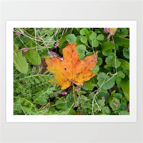 Autumn Leaves Art Leaf Art Society6 Art Buy Art Gallery Wall Herbs