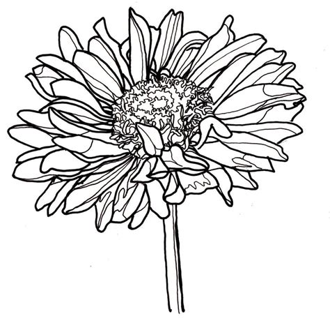 Flowers Clipart Black And White Border Free Download On Clipartmag