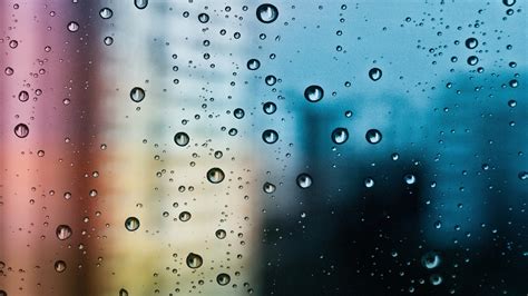 Water Dew Drops Water Drops Water On Glass Hd Wallpaper Wallpaper Flare