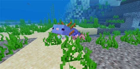 Axolotls Minecraft Pe Addon