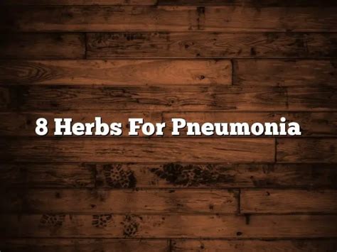 8 Herbs For Pneumonia The Homestead Survival