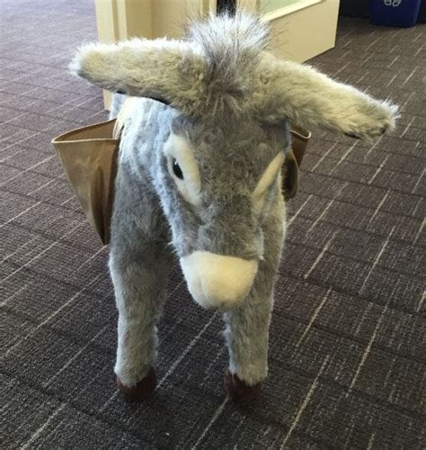 Meet Palo Alto Perry A Lovable Donkey With A Mission Palo Alto Ca Patch