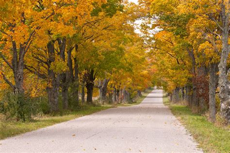 The Best Fall Foliage Drives And Train Rides In Michigan